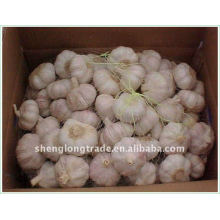 2011 lâche emballage normal ail blanc 10 kg / carton